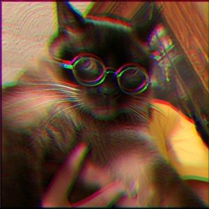 Meet your Posher, Julia